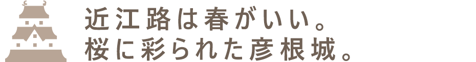 近江路は春がいい。 桜に彩られた彦根城。