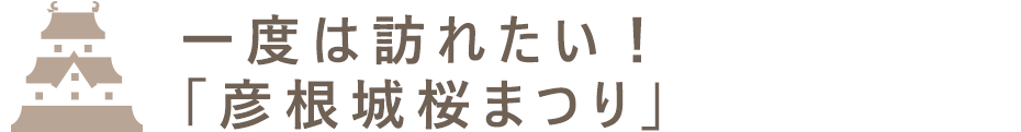 一度は訪れたい！ 「彦根城桜まつり」